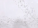 9450-2.webp