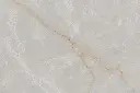 detail.webp
