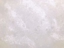 AGQ8985-d.jpg