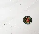 Calacatta Bonarda surface — Guava Quartz + Stone | Adam Stonetech (view 2)