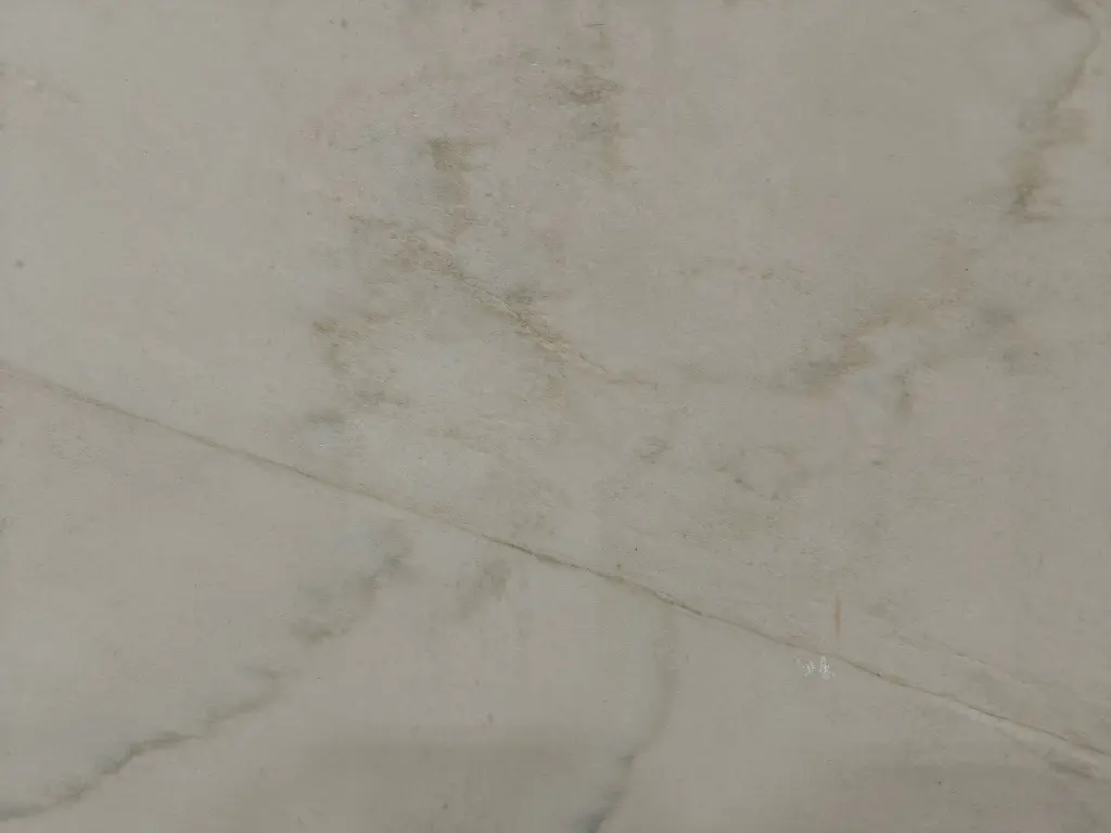 WM detail.webp