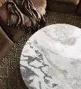 Oyster coffe table.webp