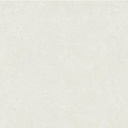 Polar Bear [AGQ8003]