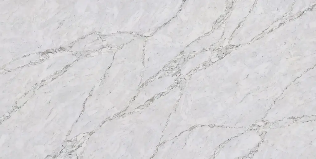 Calacatta Corvina [AGQ9940]