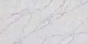 Calacatta Corvina [AGQ9940]