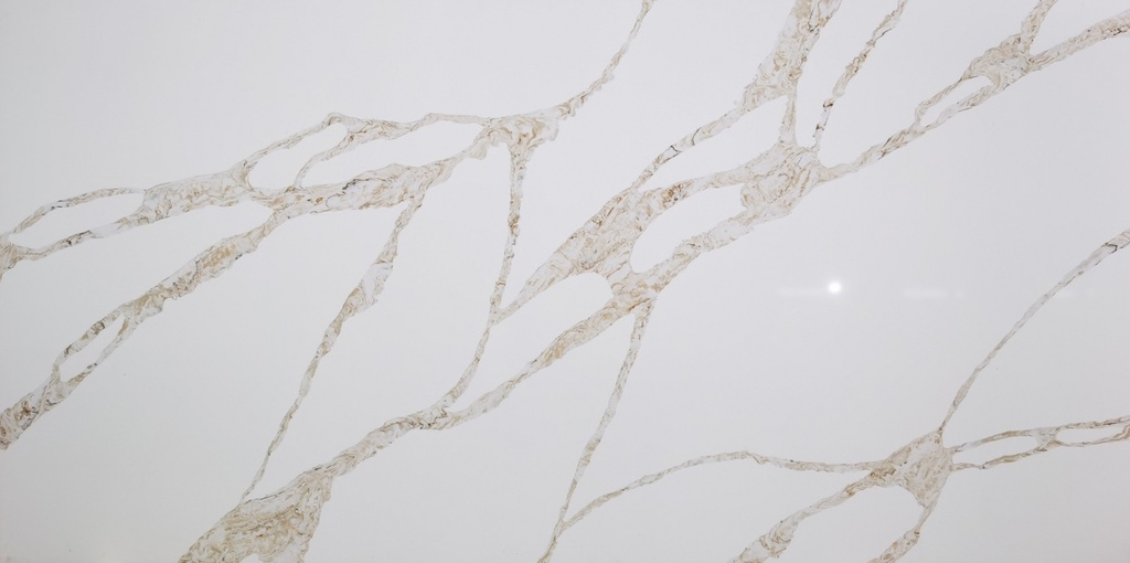 Calacatta Oro [AGQ9765]