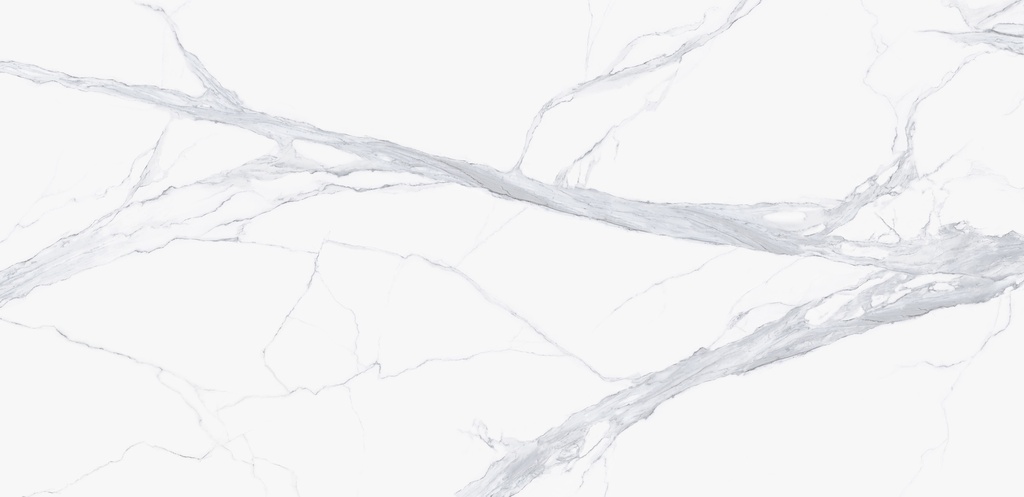 Calacatta Argenta 2cm matte