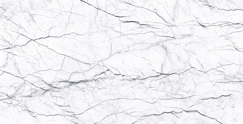 Neptune Classic [ADQ7958]