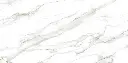 Calacatta Gold [AR6155]