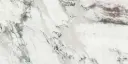 Careggi [AR6390]