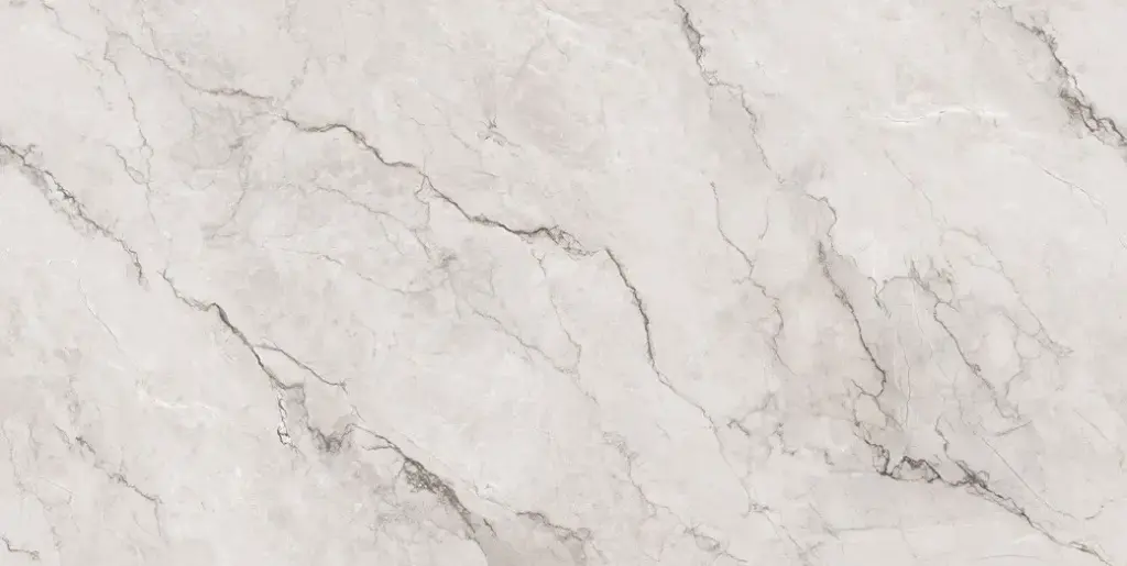 Camus White [AR6280]