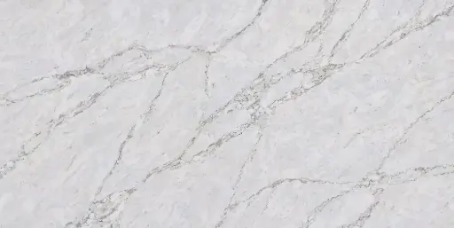 Calacatta Corvina [AGQ9940]