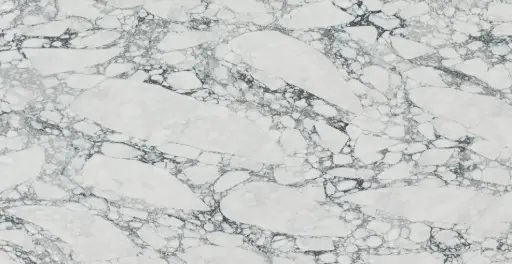 Laurencia [AGQ8545]