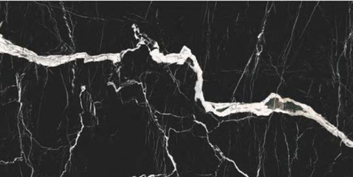 [AR6901-20-M] Nero Marquina (big vein) [AR6901]