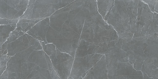 Burlington Grey [AR6911]