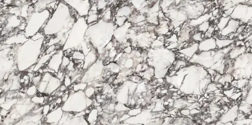 Bulgari Violet [AR6840]