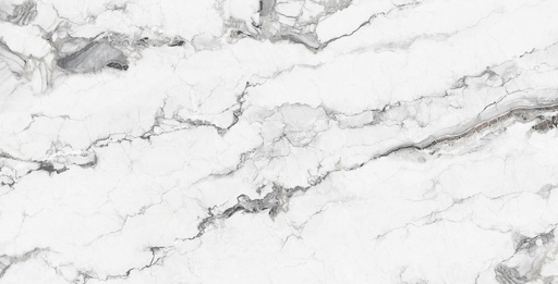 Neblo Pulido [ADQ7990]