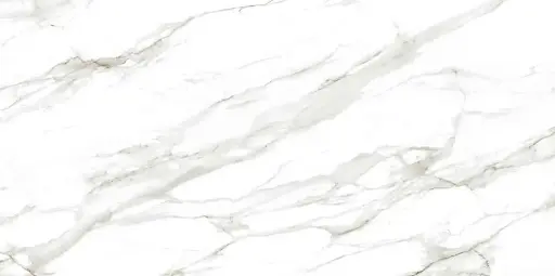 Calacatta Gold [AR6155]