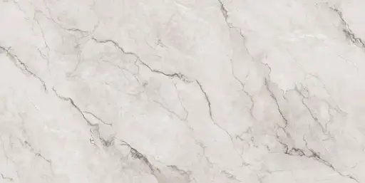 Camus White [AR6280]